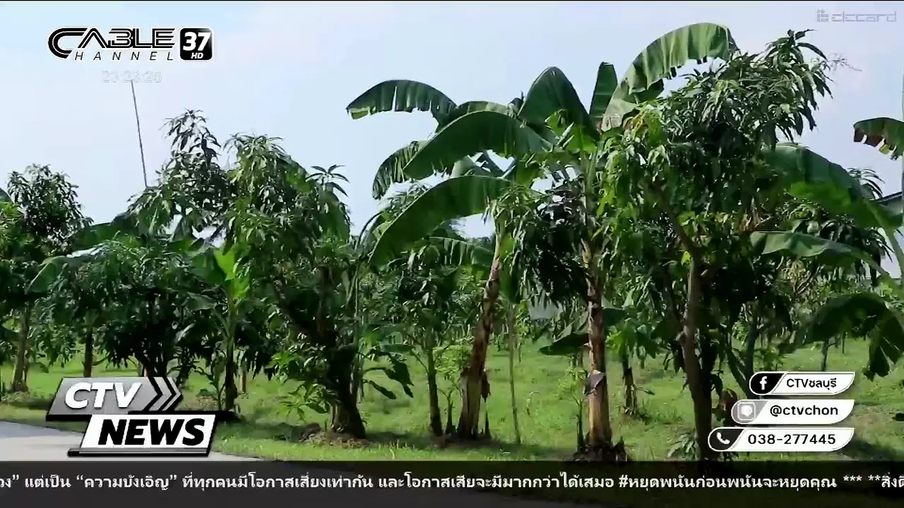 Charoen Cable 37 TV live