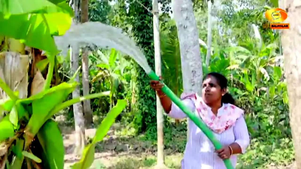 DD Malayalam live