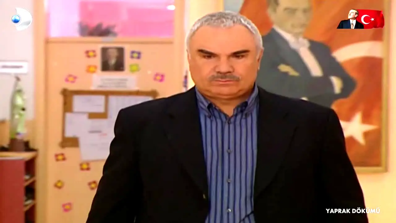 Kanal D live