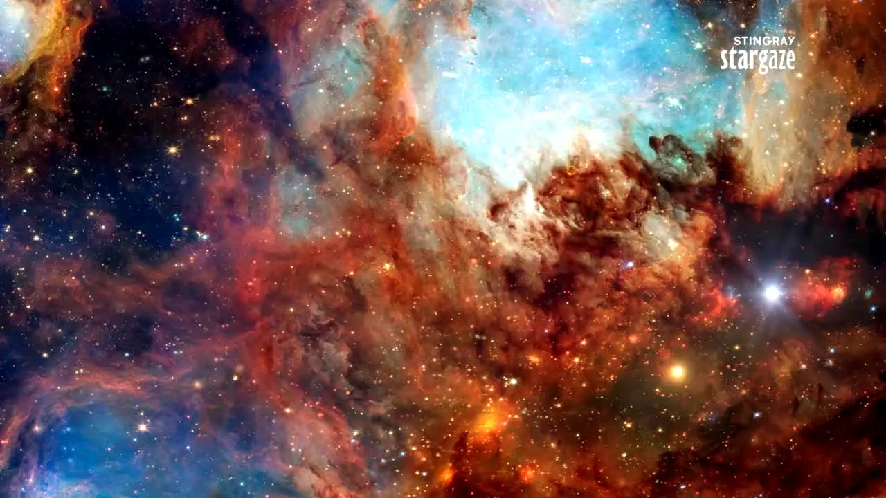 Stingray Stargaze in diretta