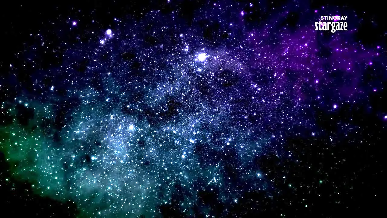 Stingray Stargaze live