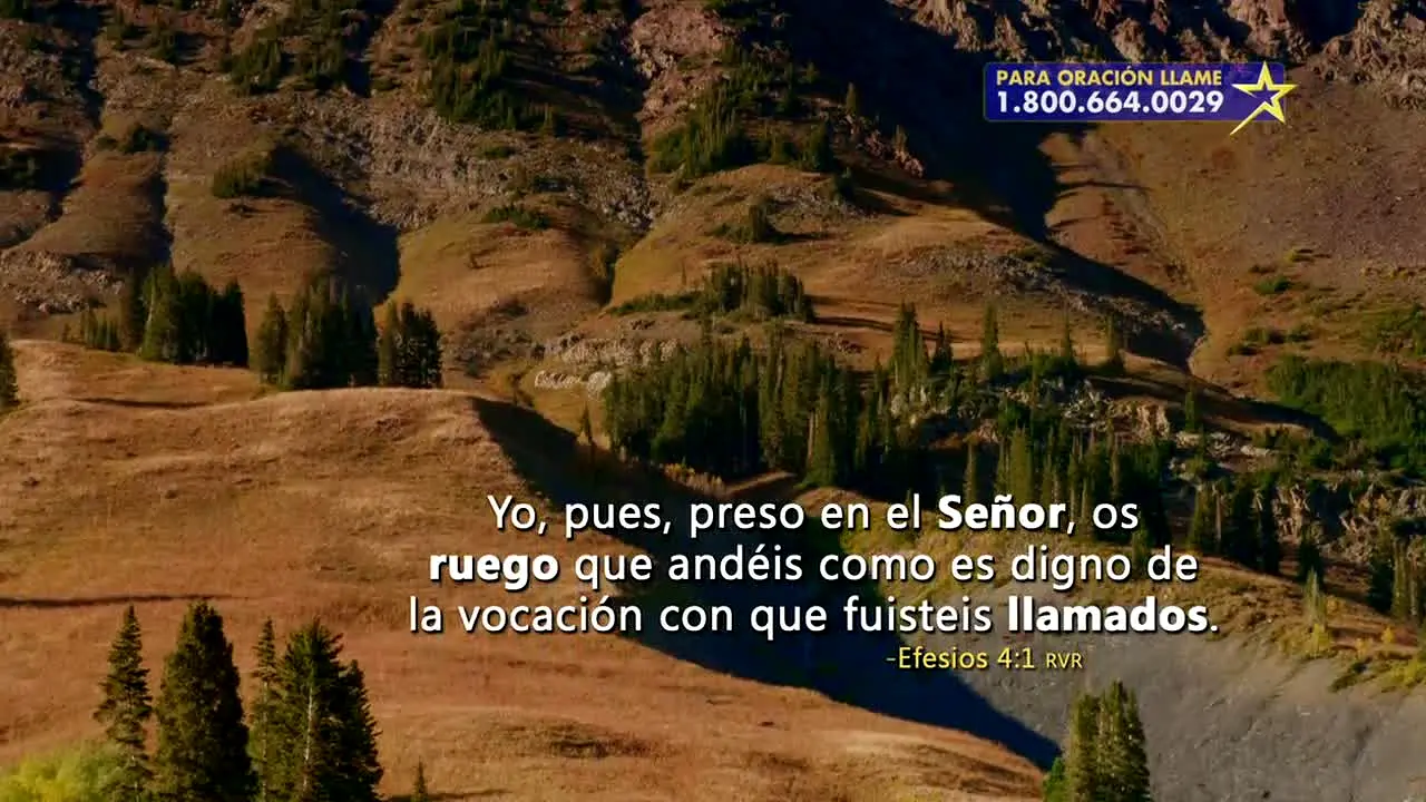 Daystar Español en vivo
