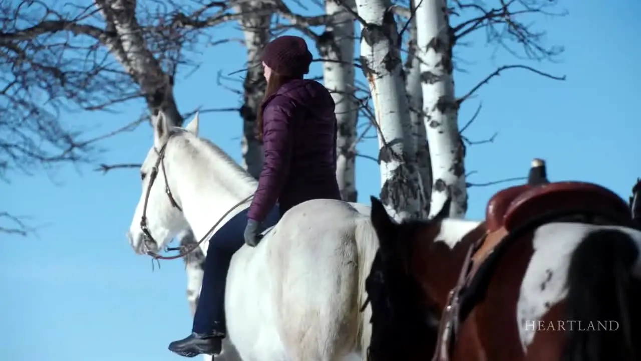 Heartland ao vivo