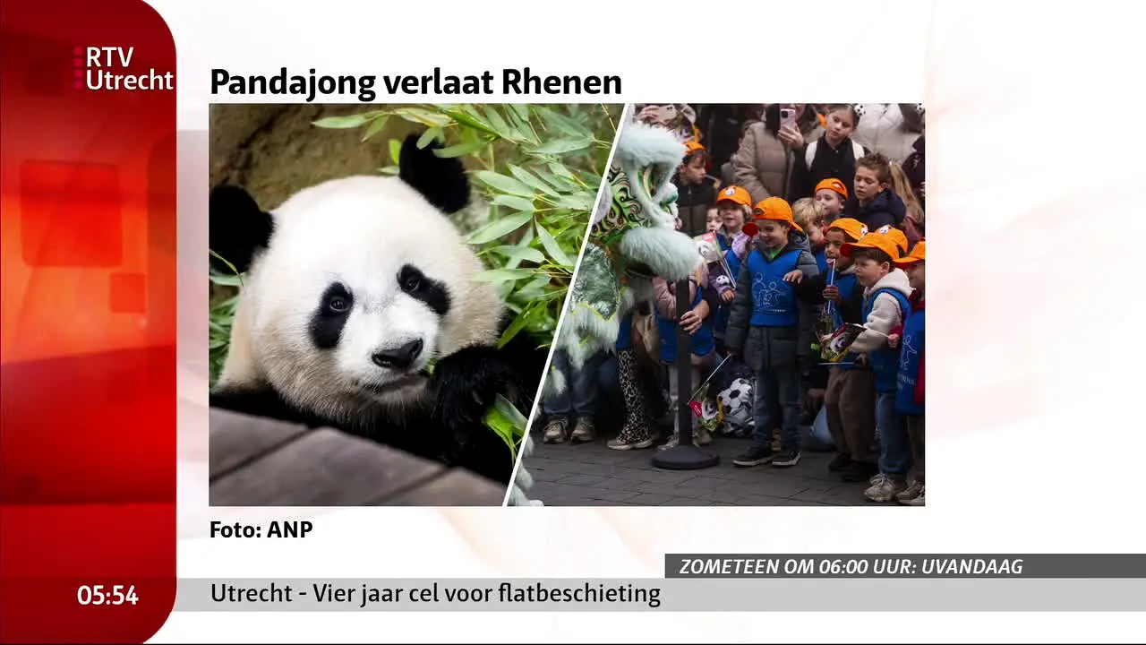 RTV Utrecht live
