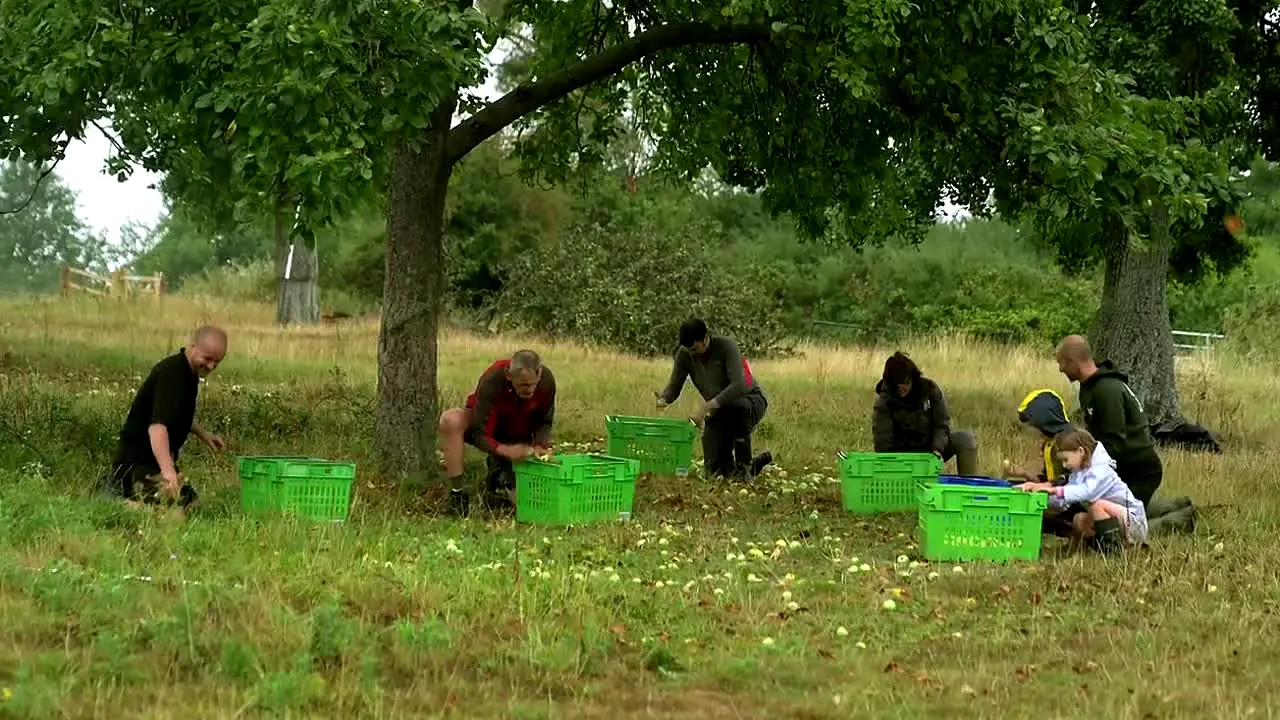 Gardeners' World live