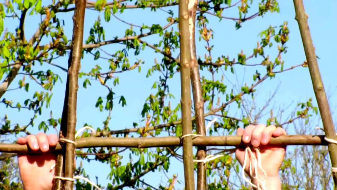 Gardeners' World ao vivo
