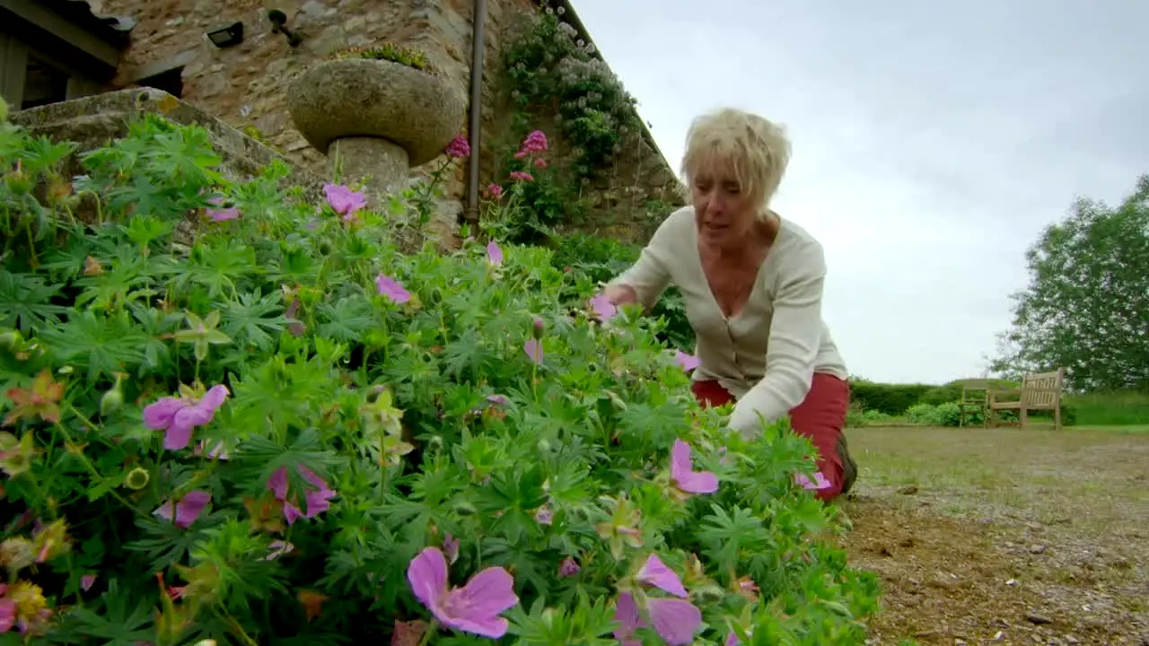 Gardeners' World en vivo