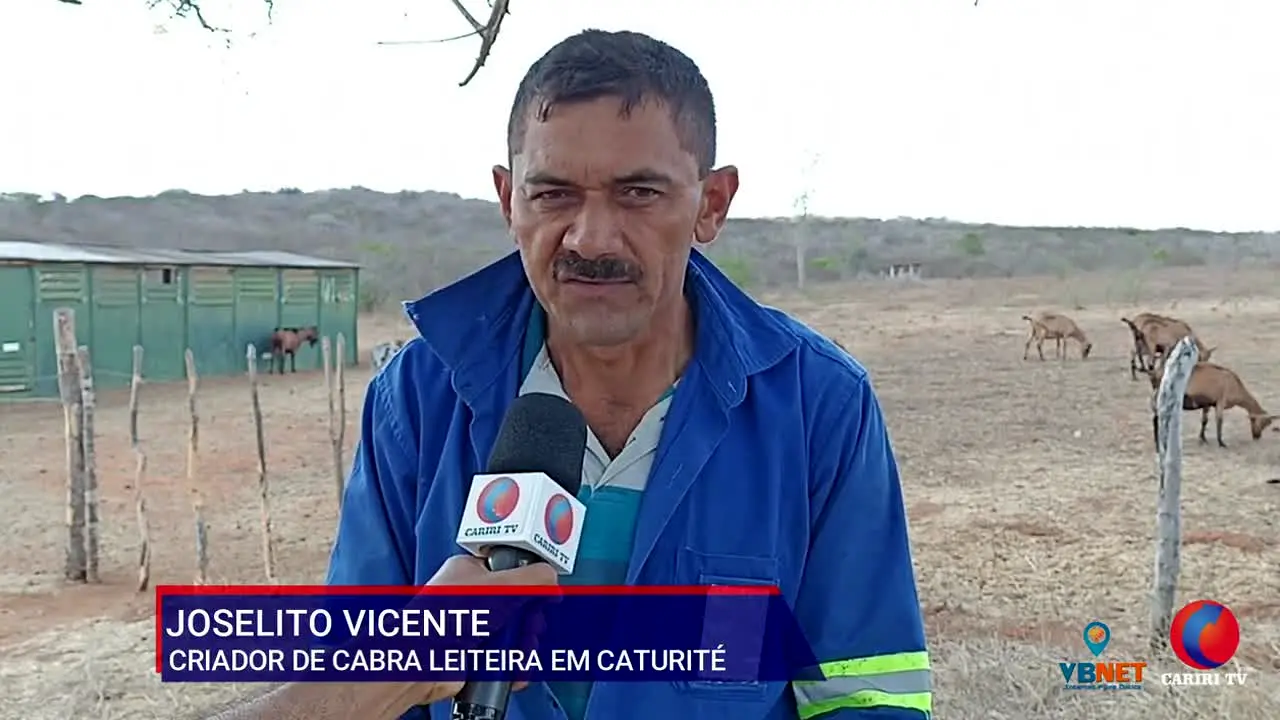 Cariri TV live