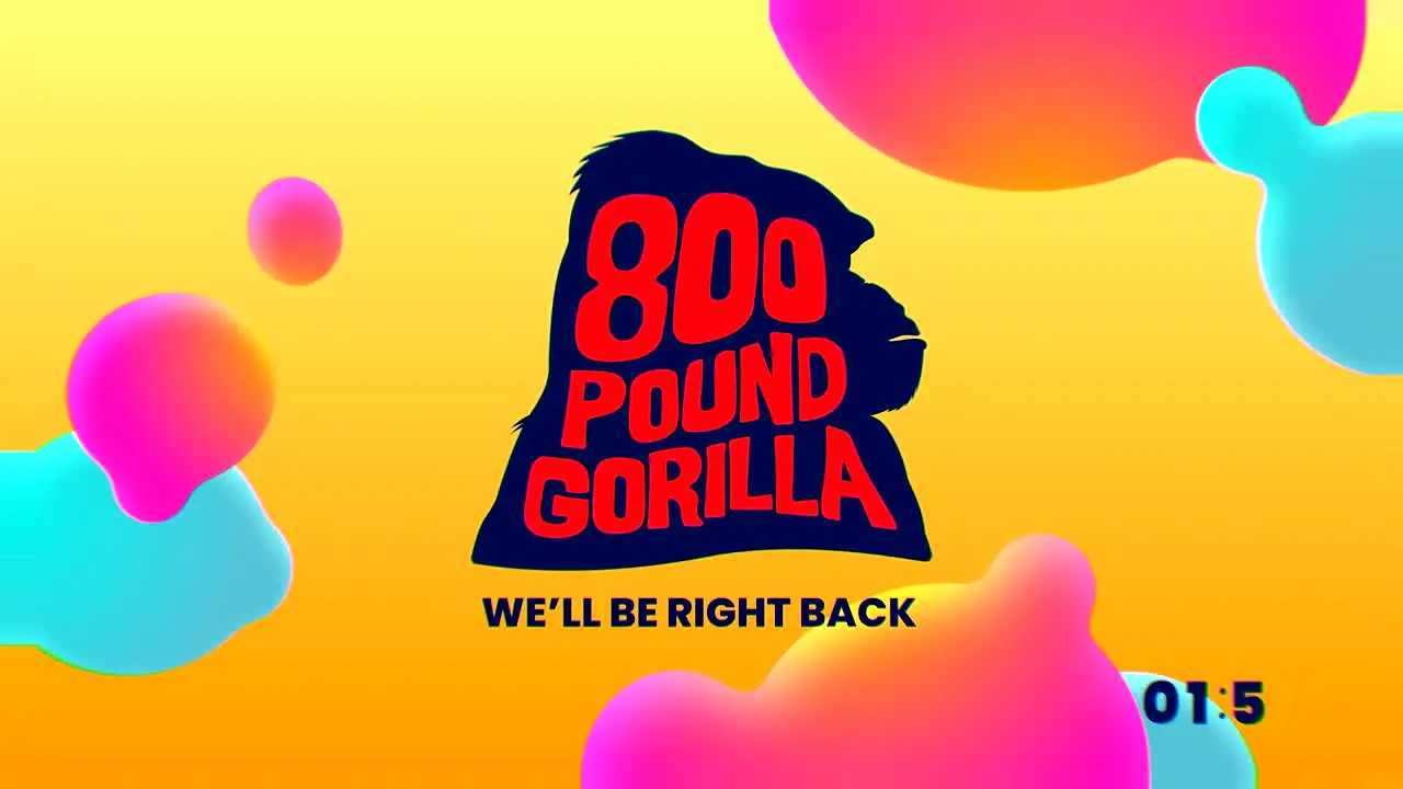 800 Pound Gorilla ao vivo