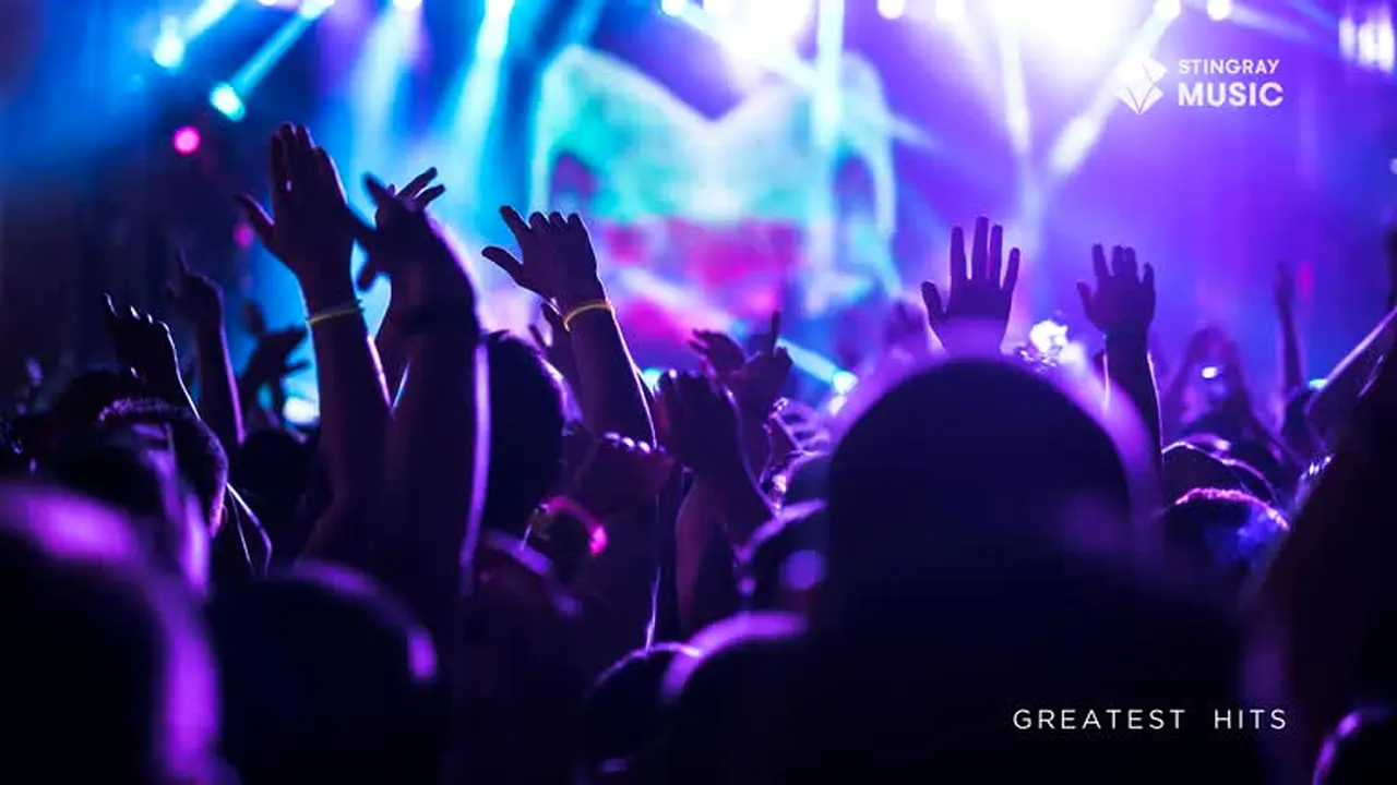 Stingray Greatest Hits live