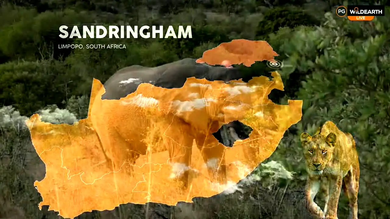 WildEarth live