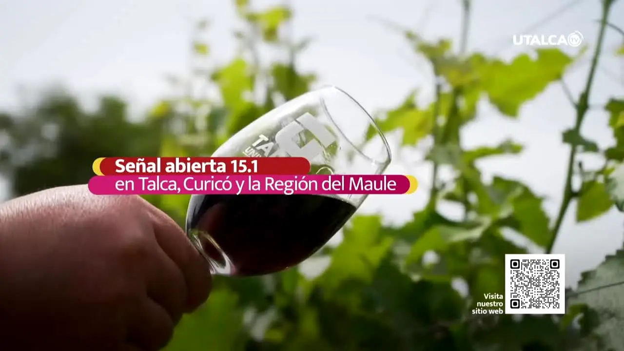 UTalca TV in diretta