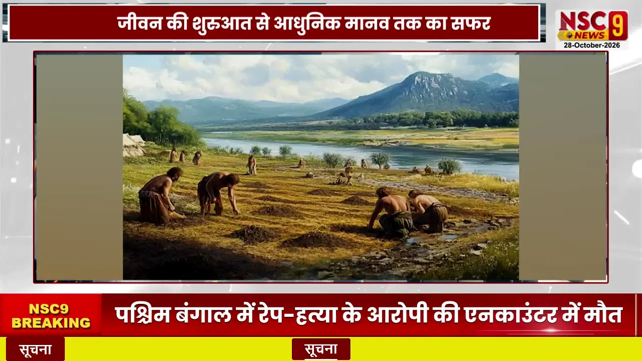 NSC9 News live