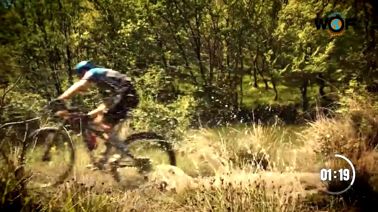 World of Freesports - WoF live