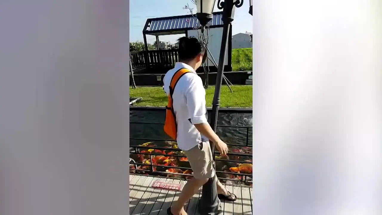 FailArmy live