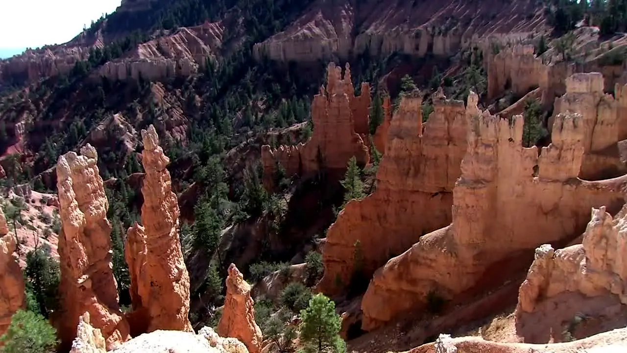 NatureVision live