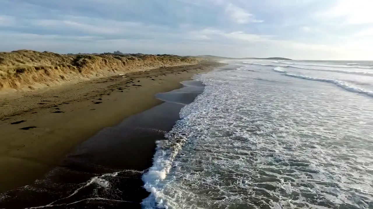 NatureVision live