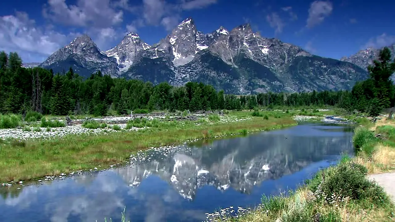 NatureVision live