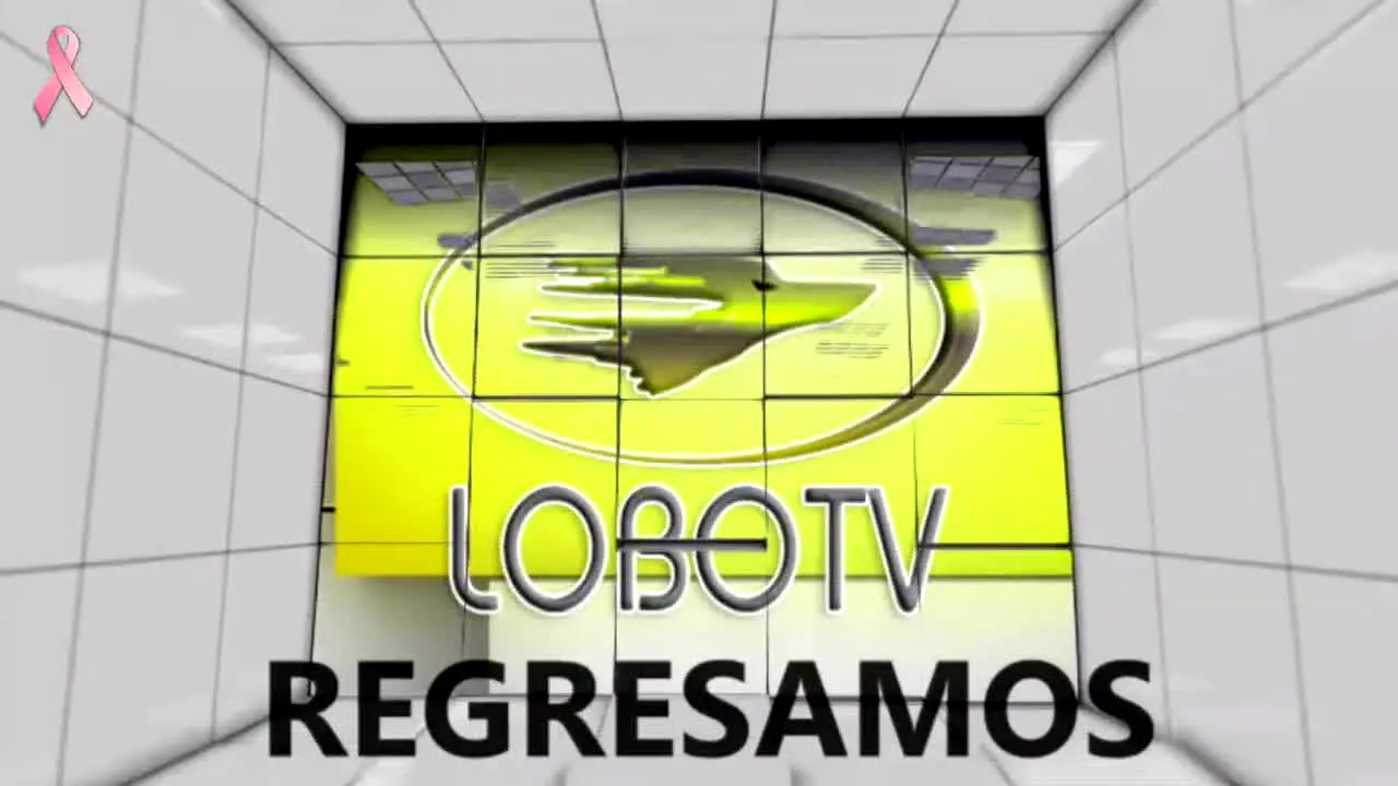 Lobo TV en vivo