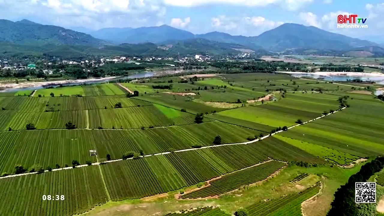 Ha Tinh TV live