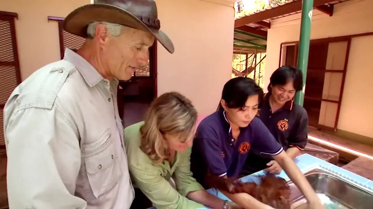 Jack Hanna live