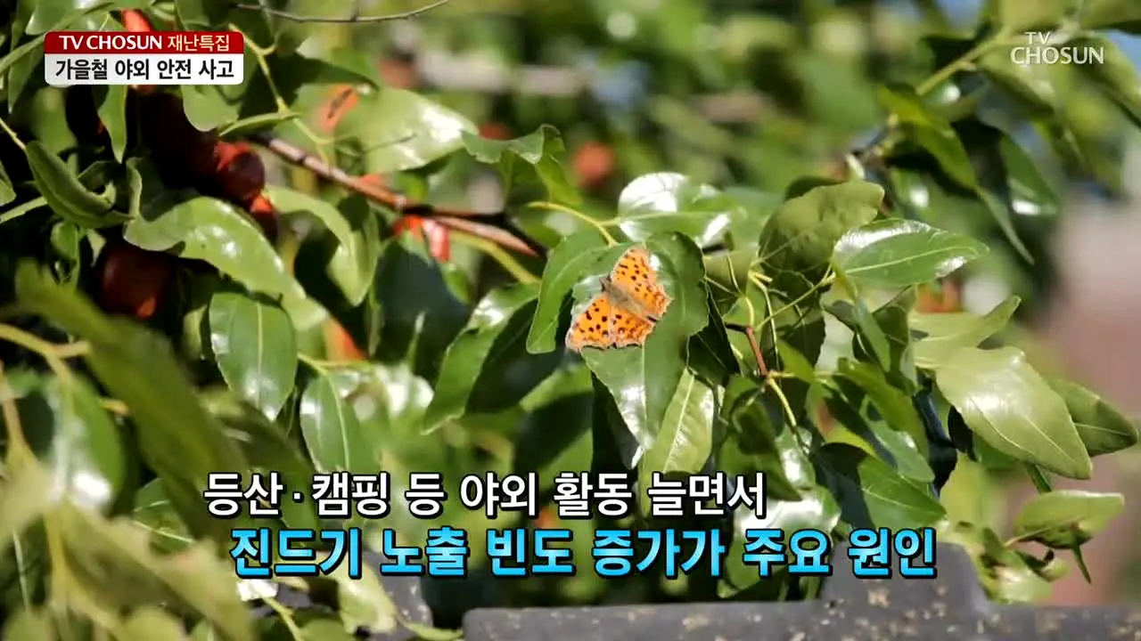 TV Chosun in diretta