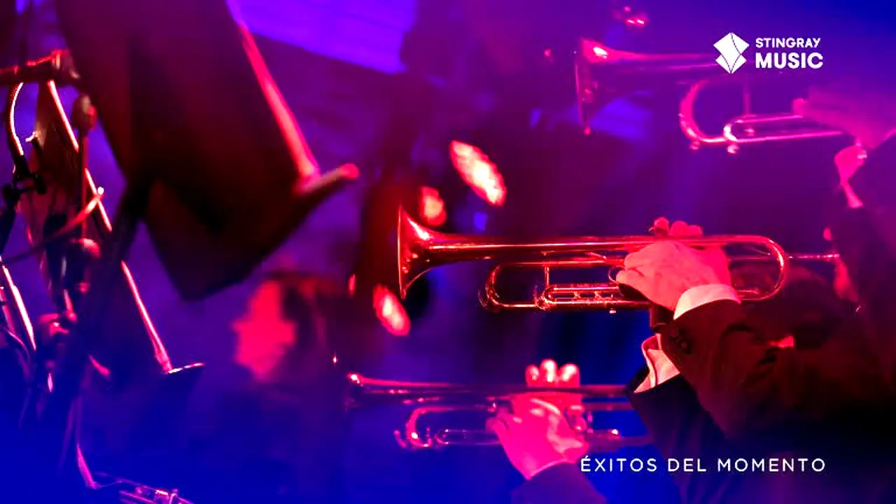 Éxitos del Momento live