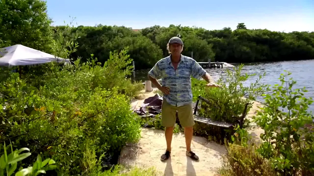 BBC Home & Garden live