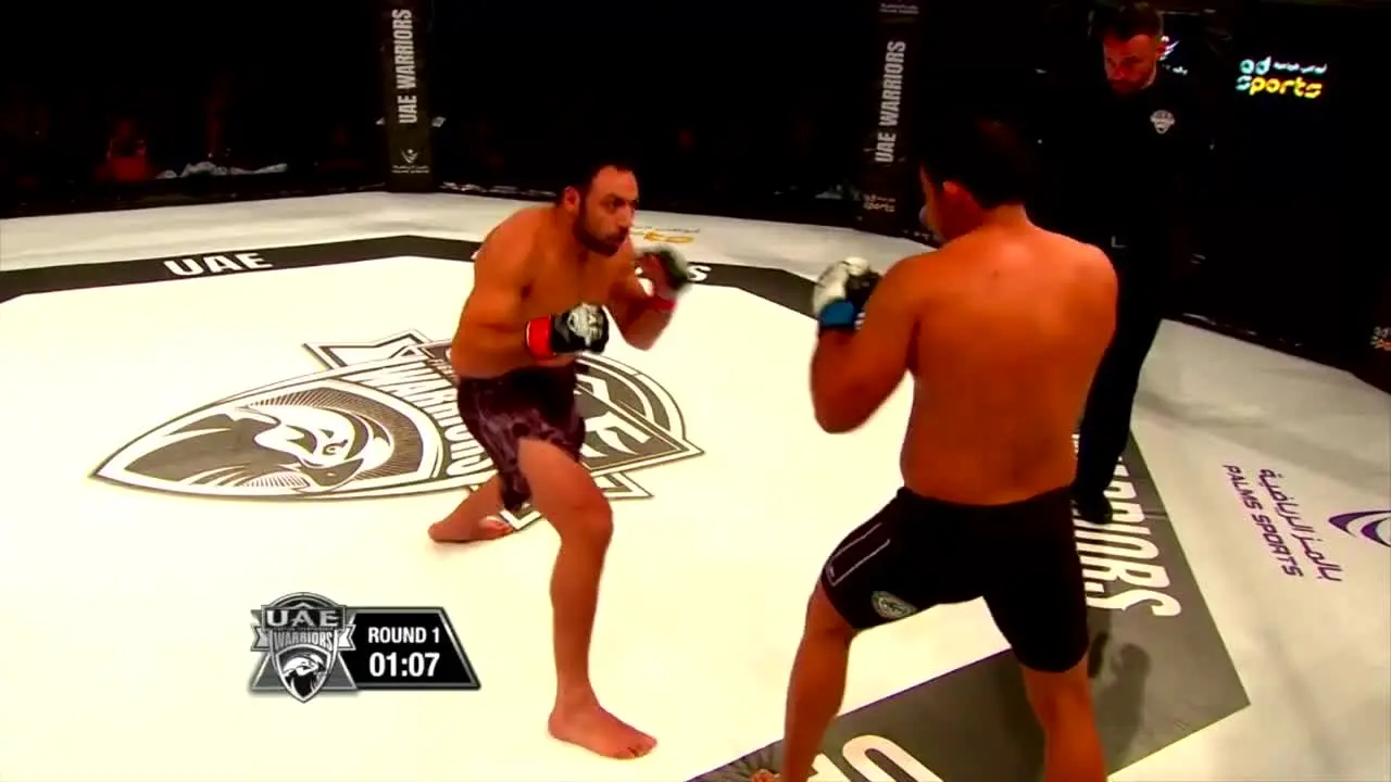 MMA TV live