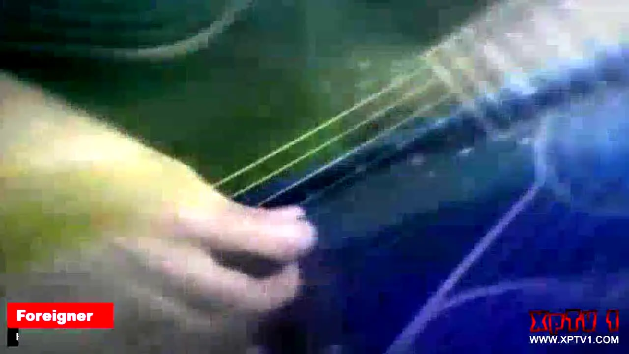 XPTV1 live