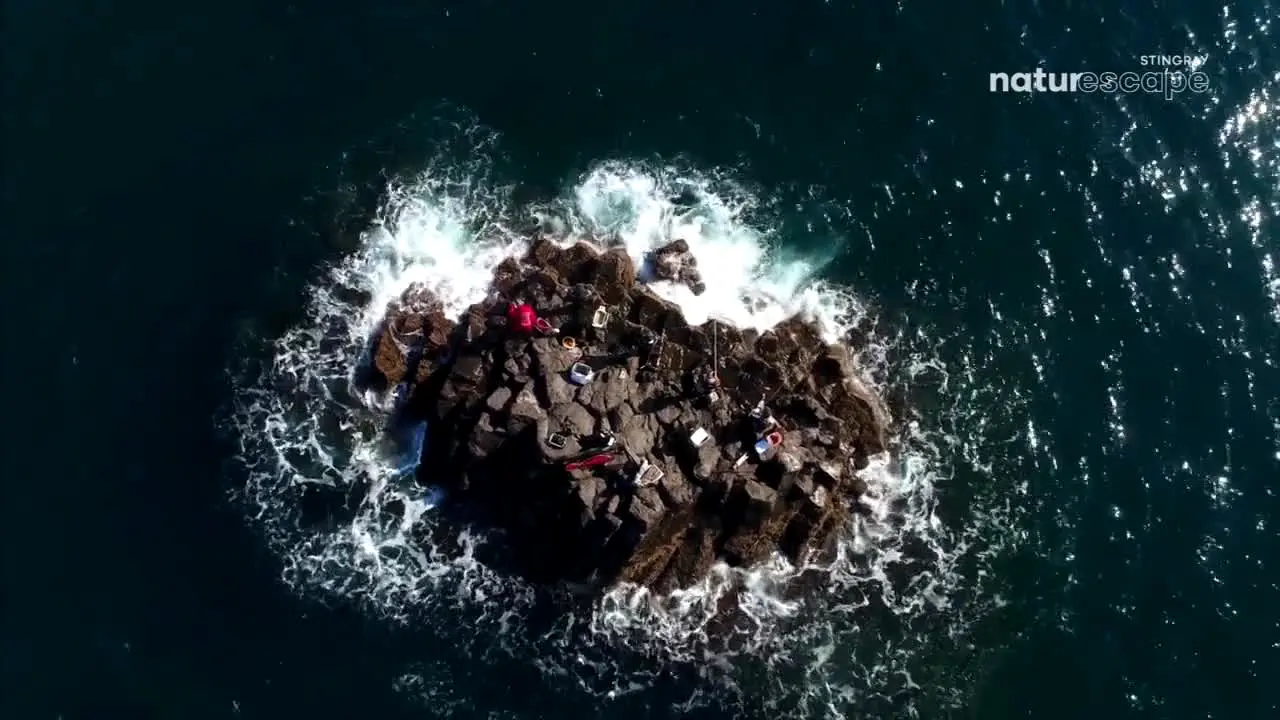 Stingray Naturescape en direct