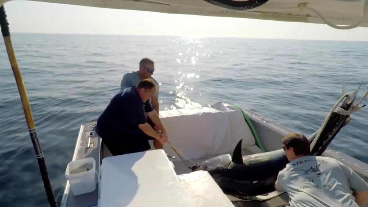 Wicked Tuna ao vivo