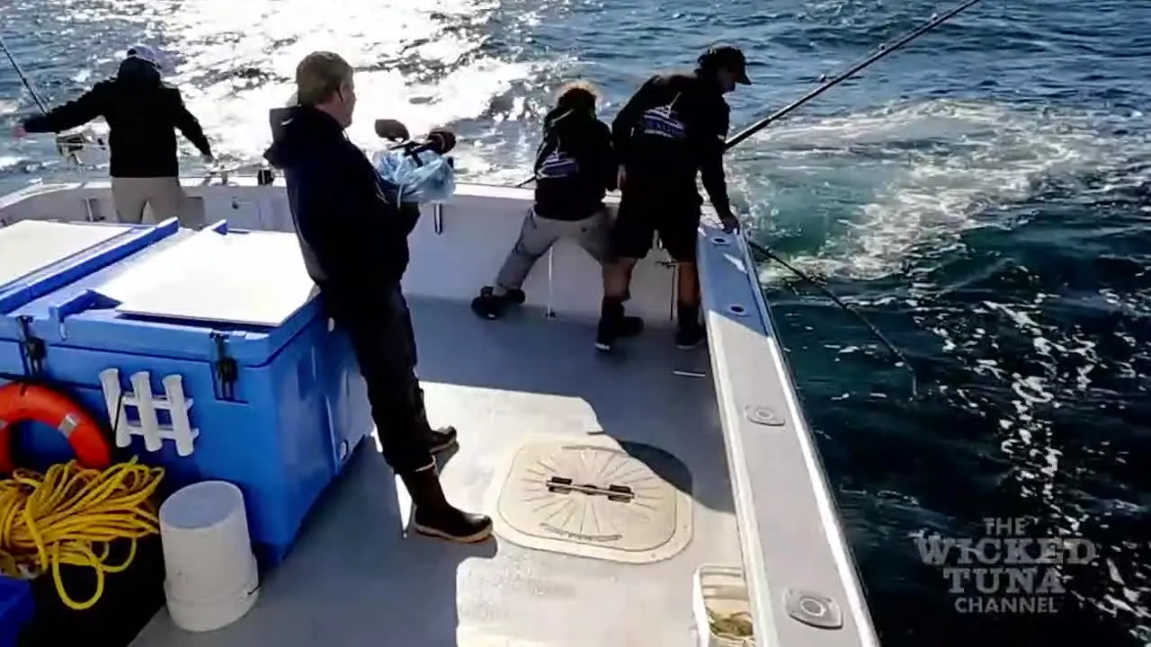 Wicked Tuna en direct