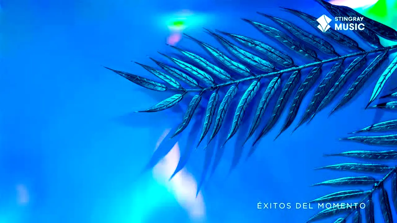 Éxitos del Momento live