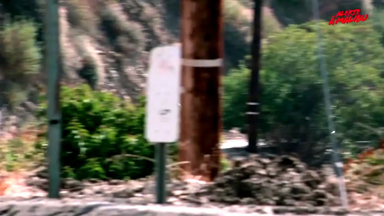 Alerte à Malibu en vivo