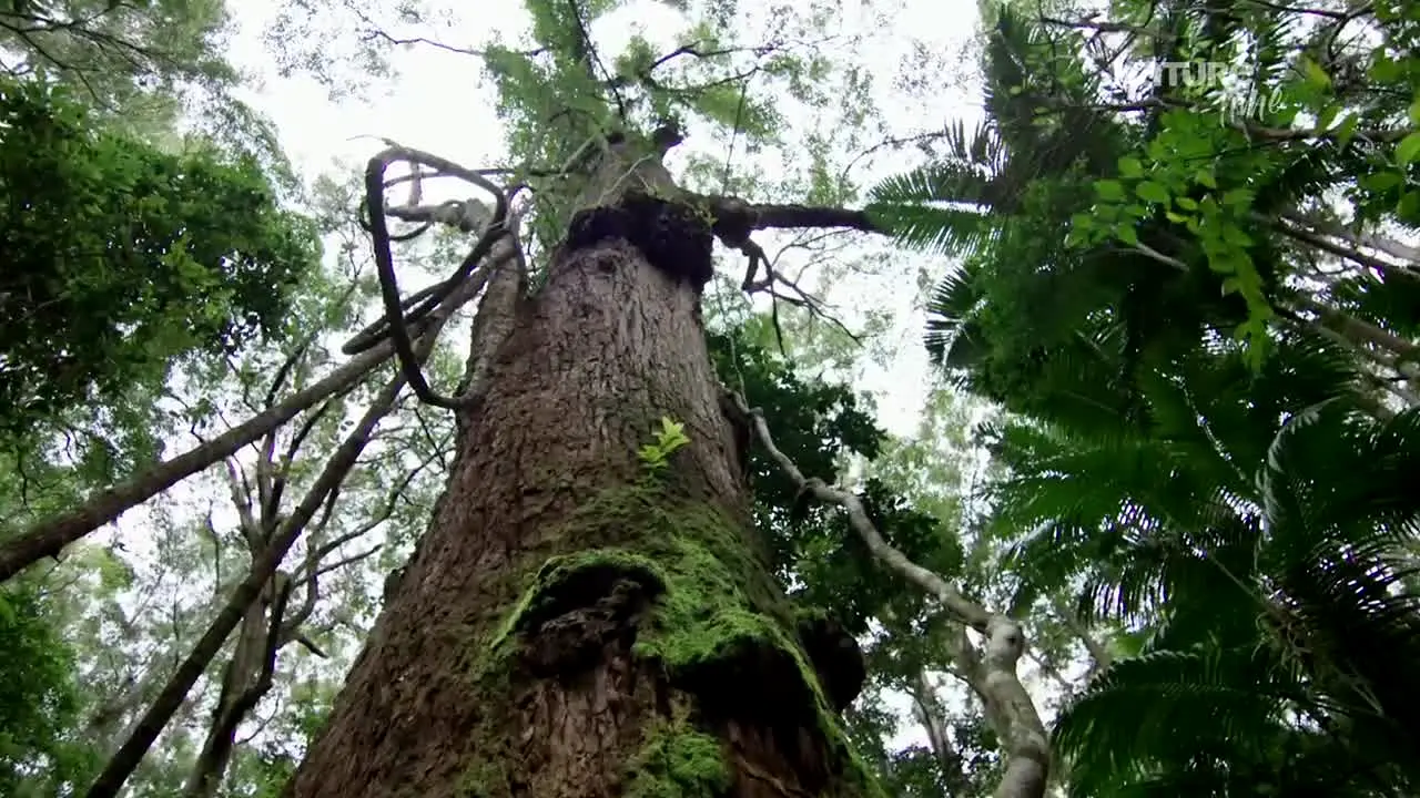 NatureTime [FR] ao vivo