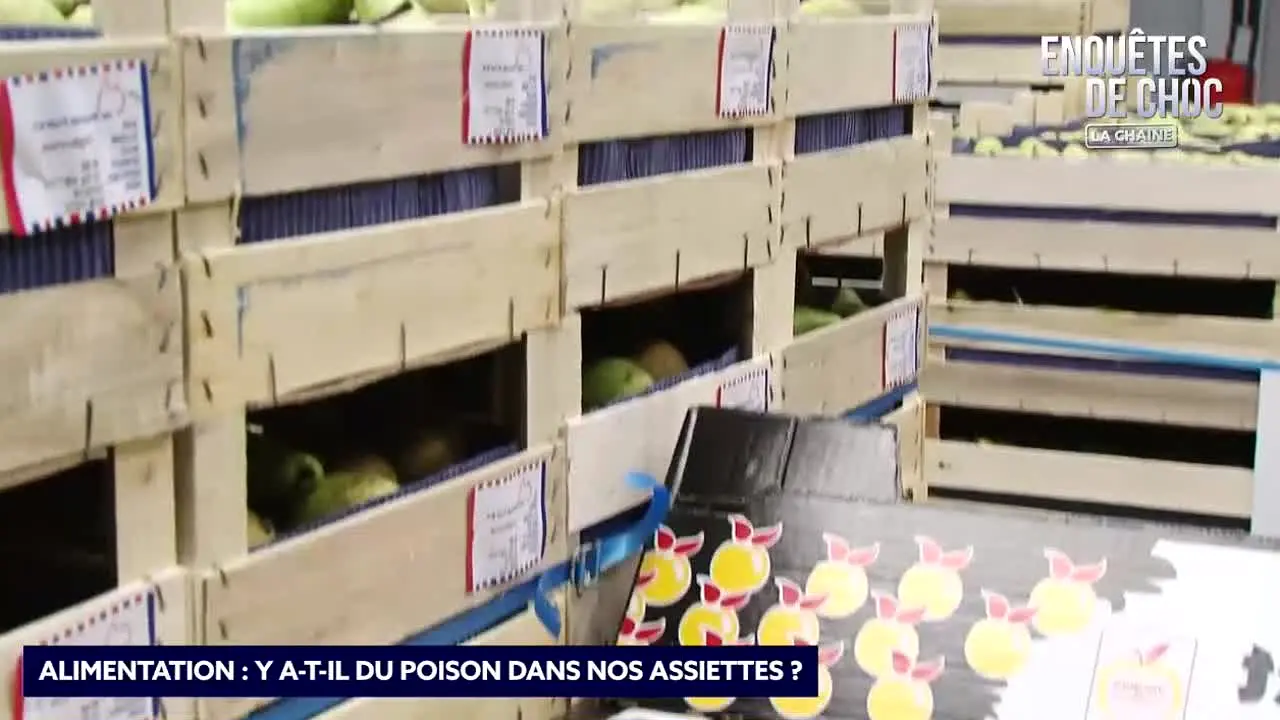 Enquêtes de Choc en vivo