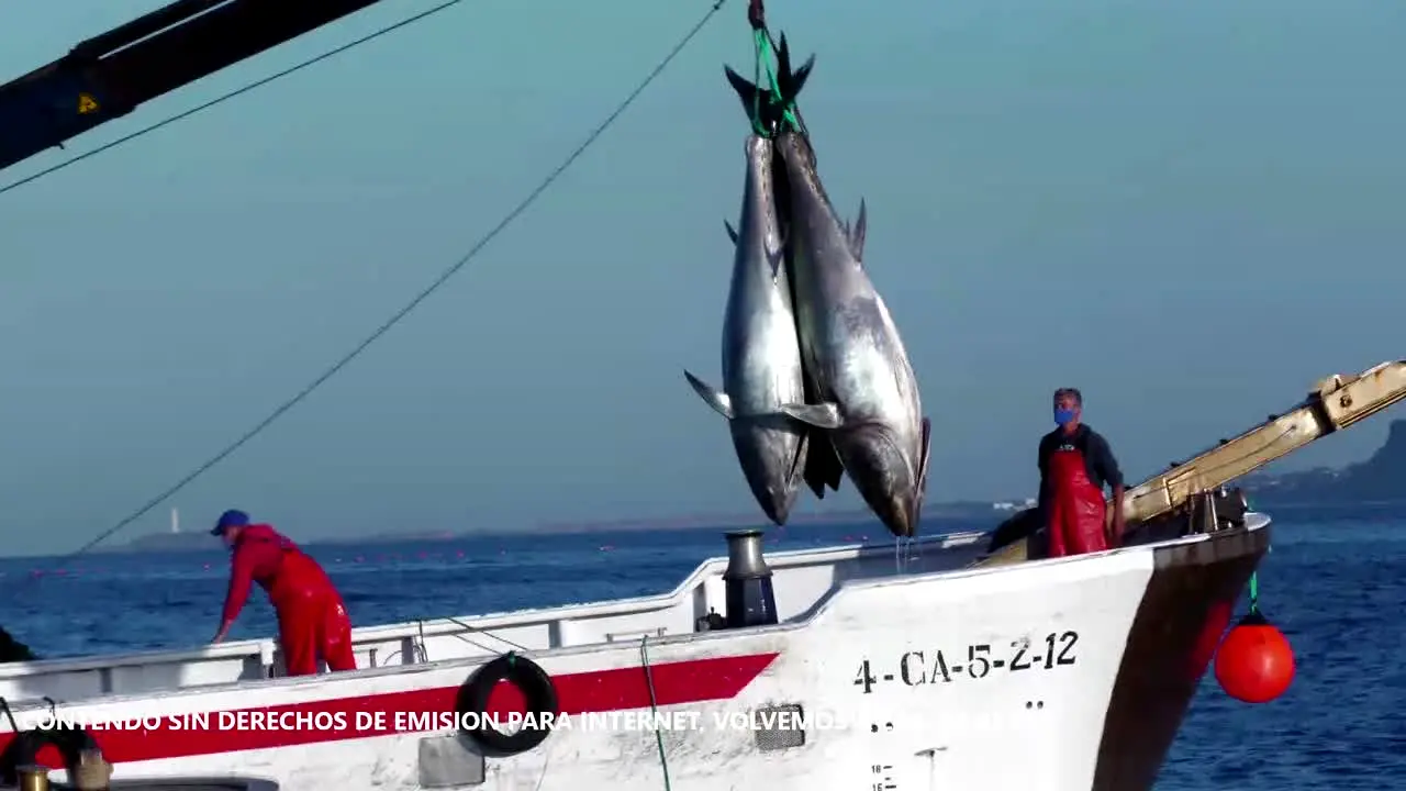 7TV Andalucía live