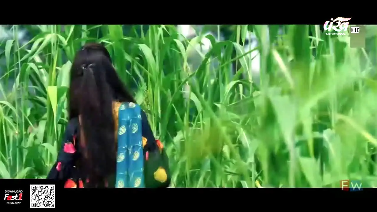 Pankh — прямой эфир