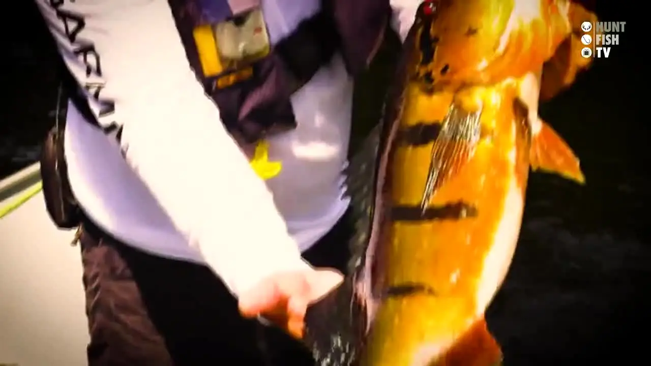 Hunt Fish TV in diretta