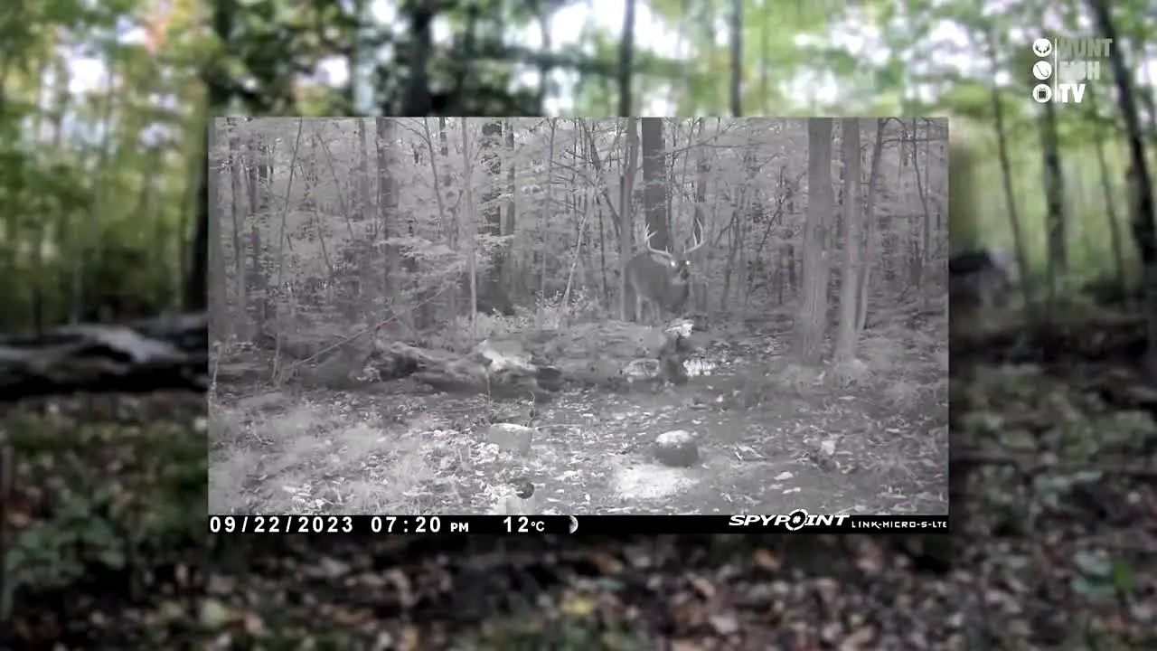 Hunt Fish TV live