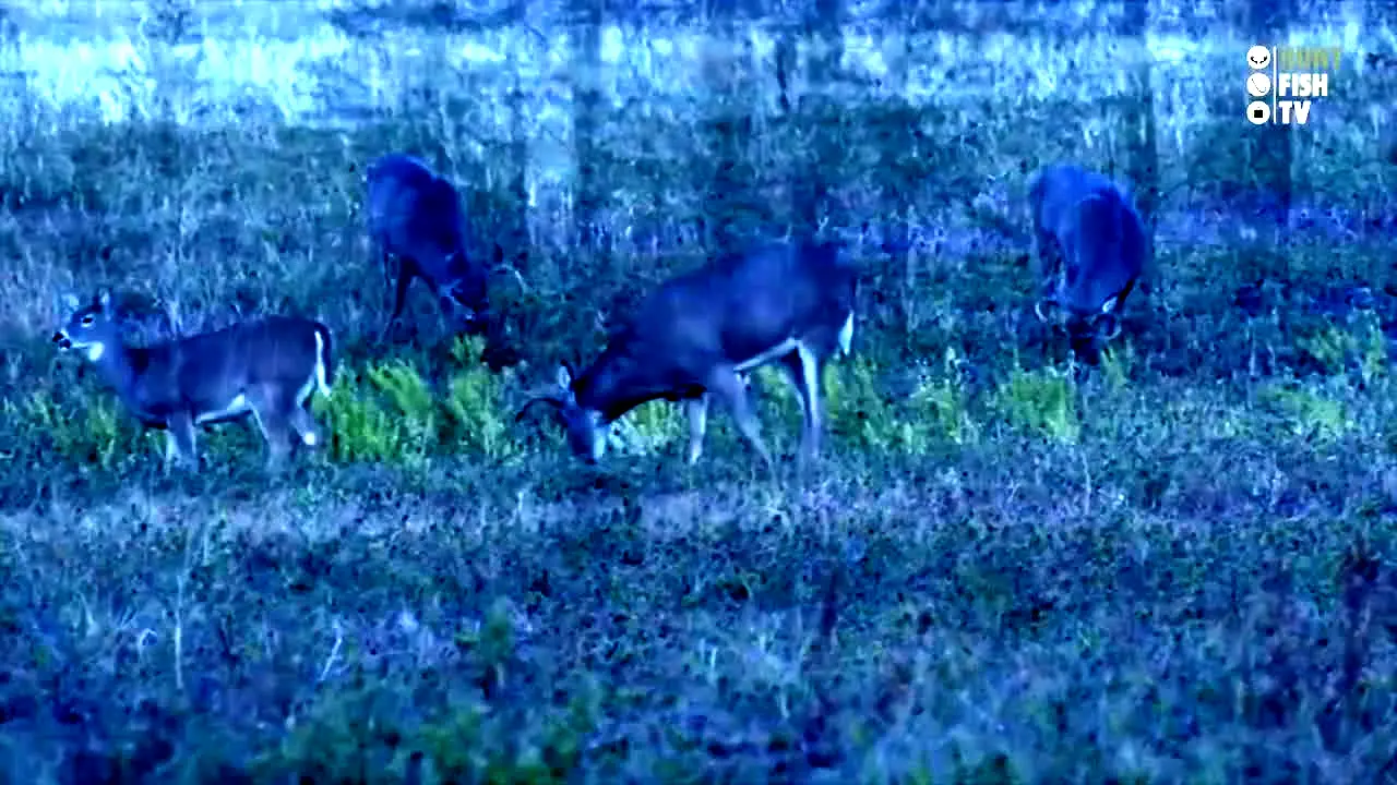 Hunt Fish TV live
