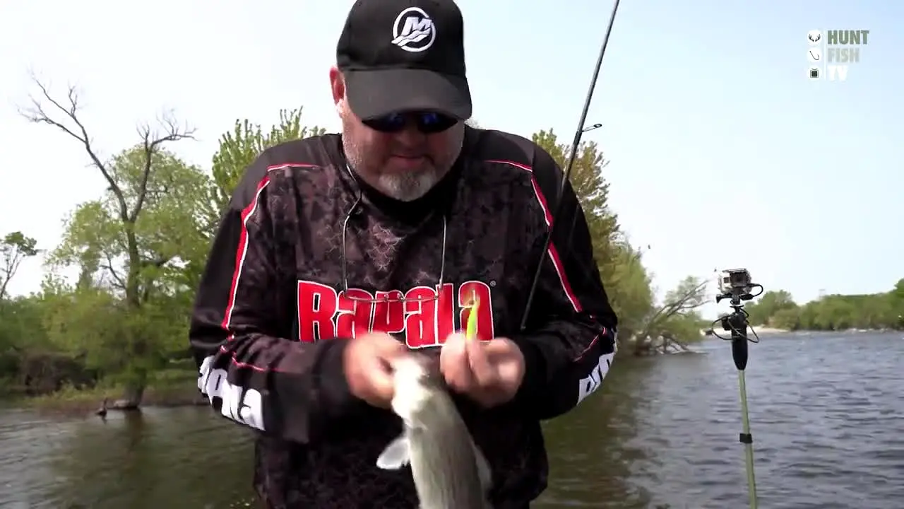 Hunt Fish TV live
