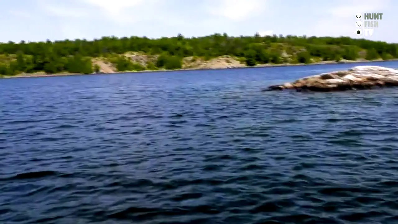 Hunt Fish TV live