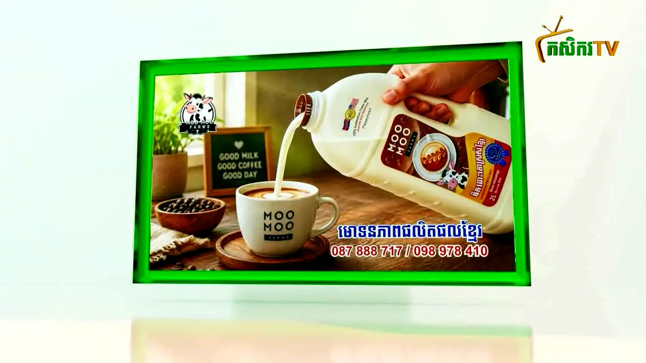 ARDB TV live