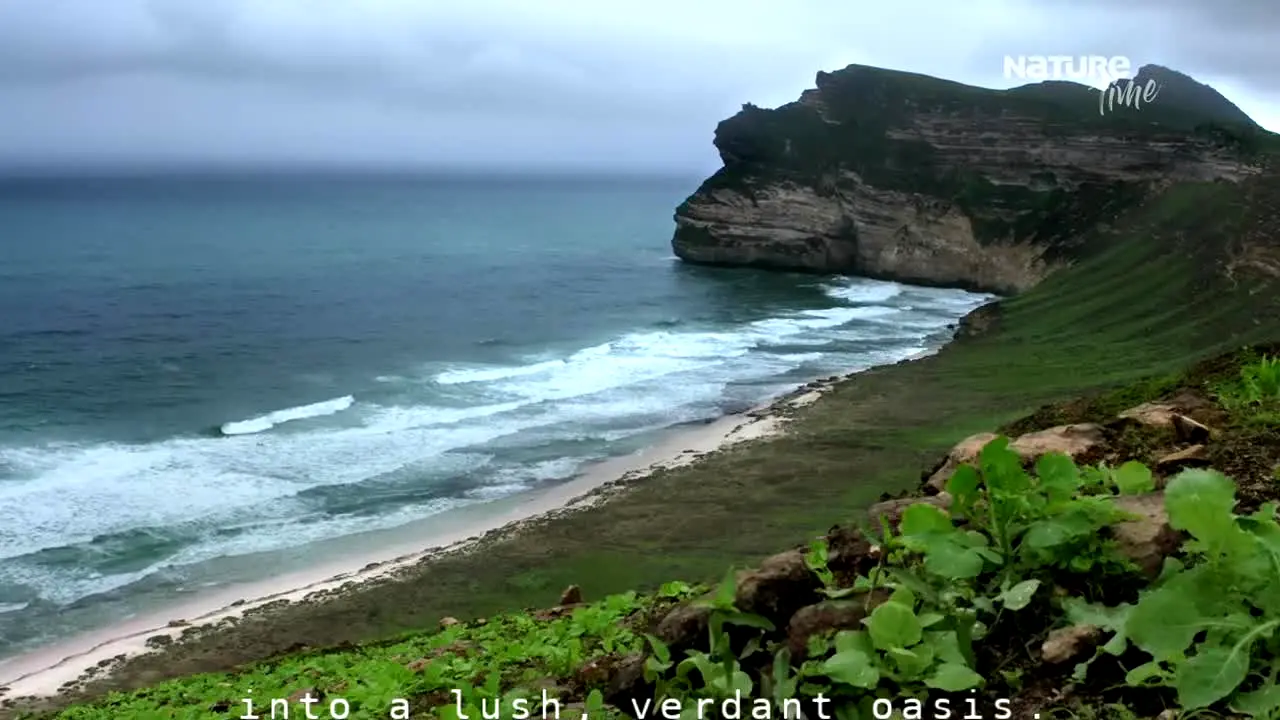 Nature Time na żywo