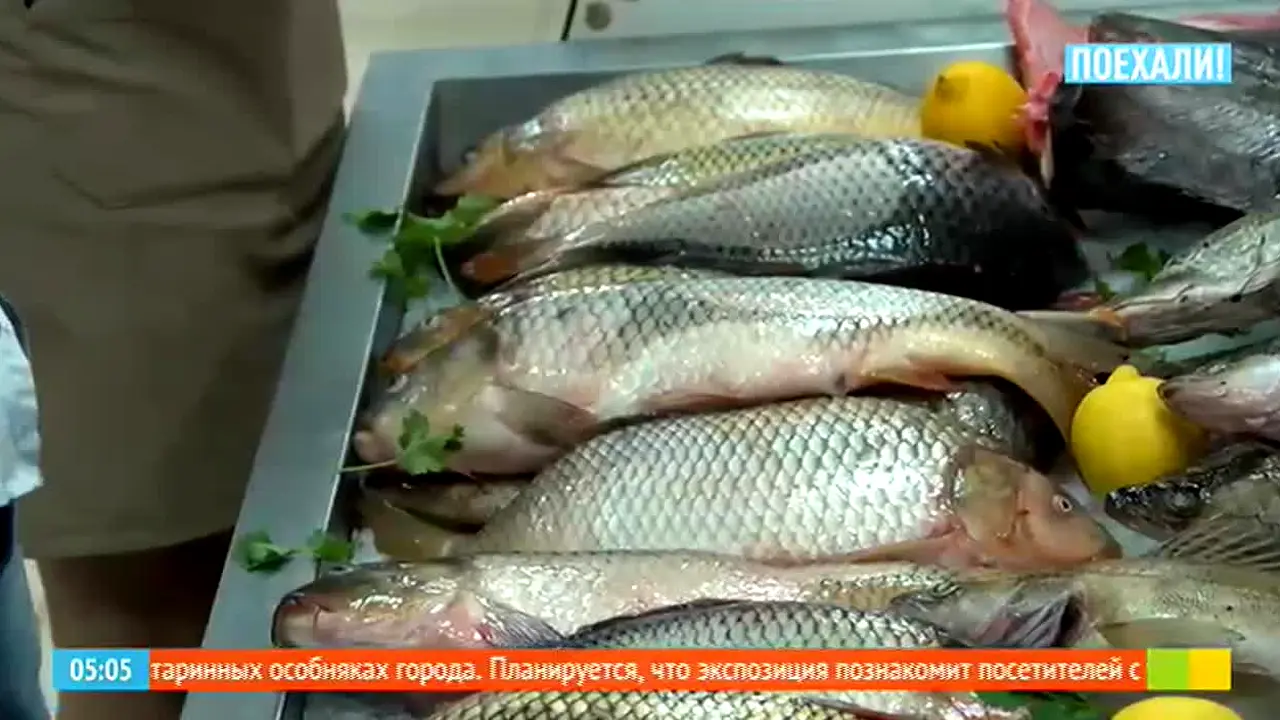 Poehali! live
