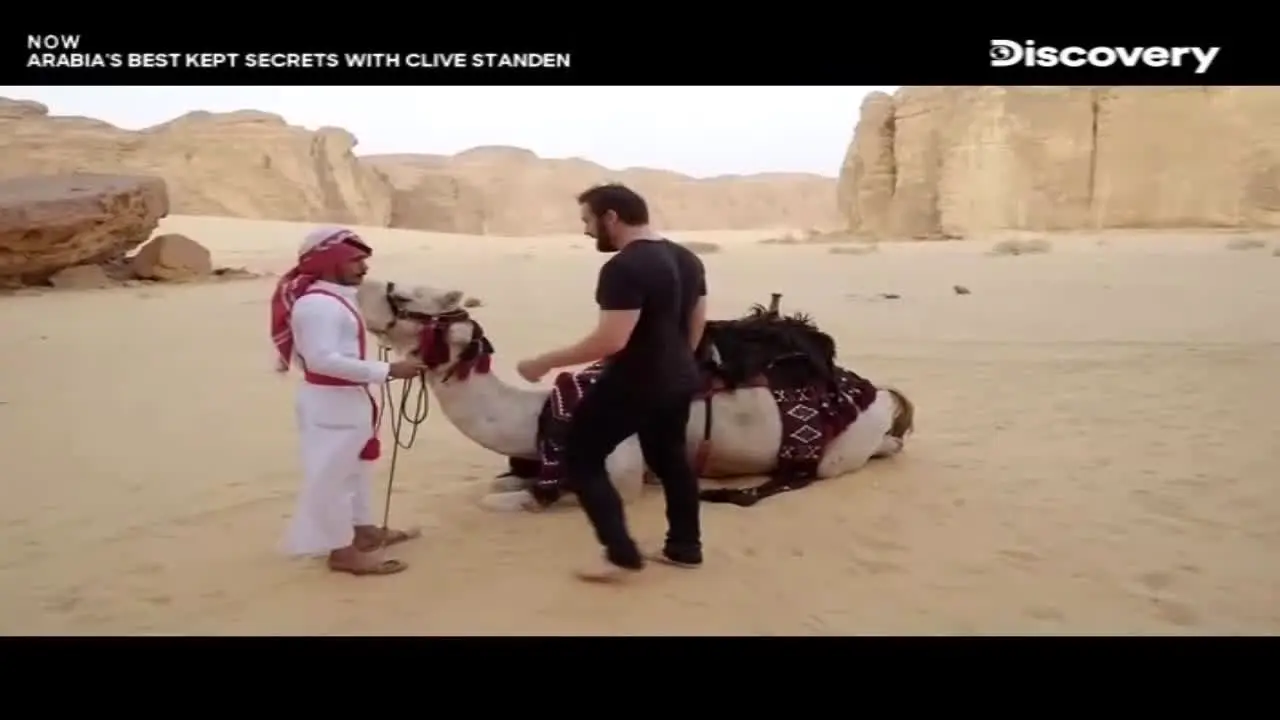 Discovery Channel live