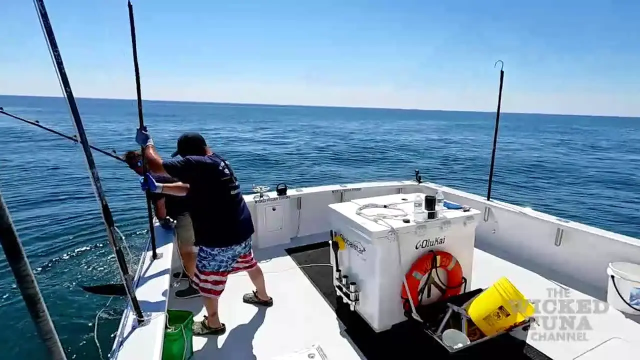 Wicked Tuna live