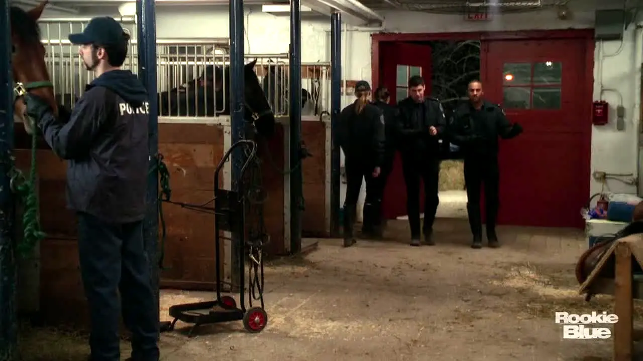 Rookie Blue live